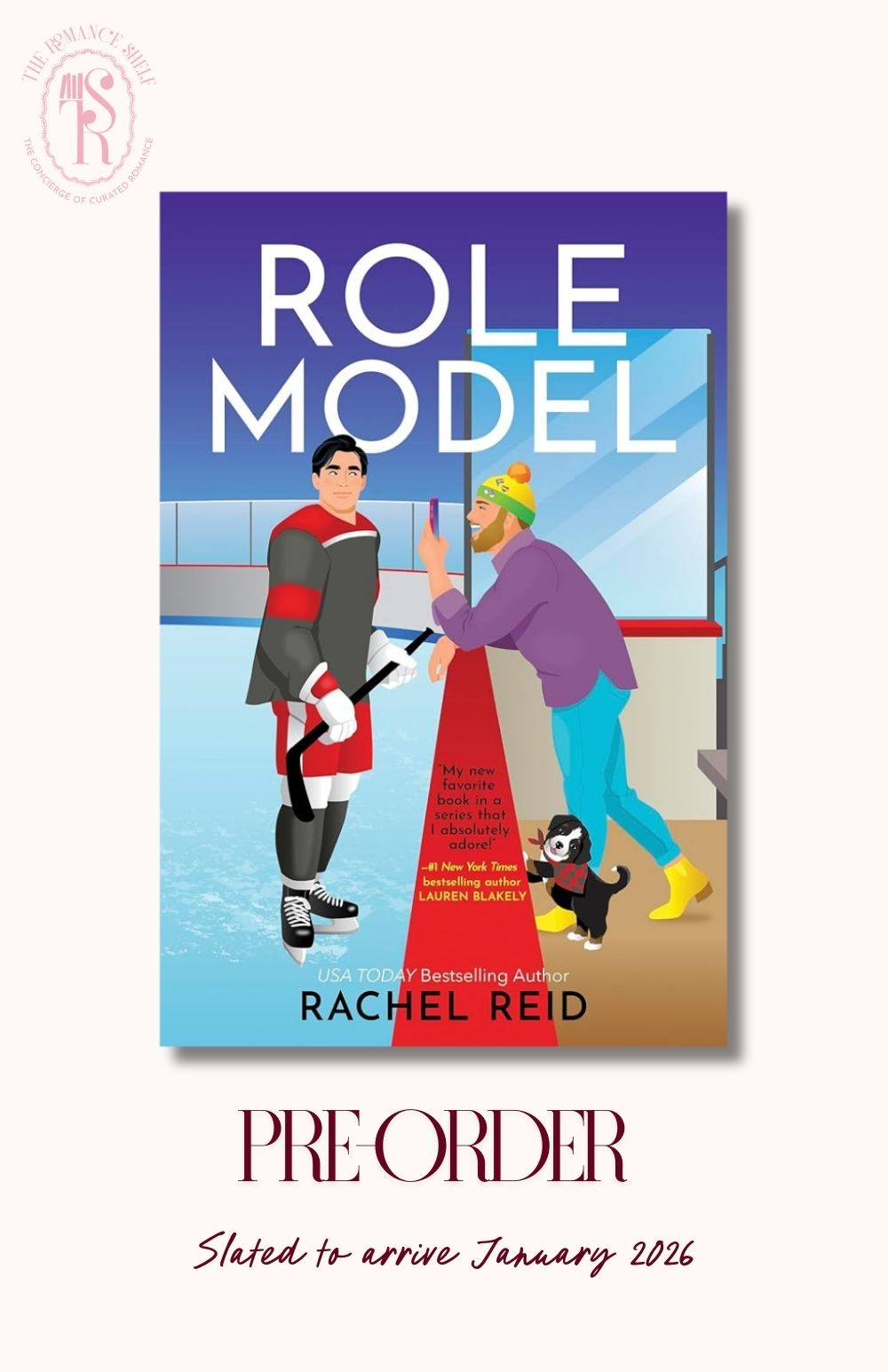 Role Model: A Spicy Gay Hockey Romance (Game Changers, 5)
