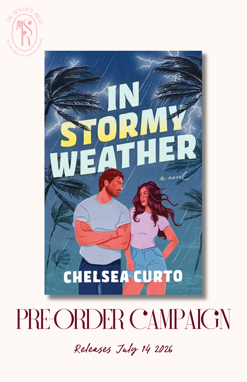 [PRE-ORDER] In Stormy Weather: A Novel